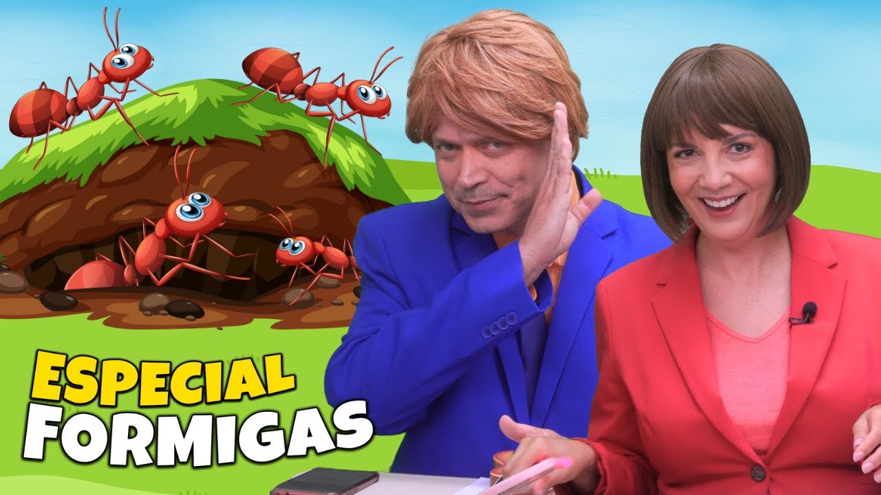Formigas: 8 Curiosidades Divertidas - Gil e Cris News