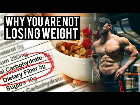 download lagu mp3 mp4 Fiber Rich Crackers, download lagu Fiber Rich Crackers gratis, unduh video klip Fiber Rich Crackers