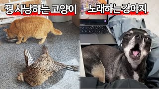 유튜브 썸네일