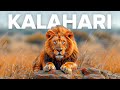 KALAHARI Battle For Survival In The African Desert Animal Documentary