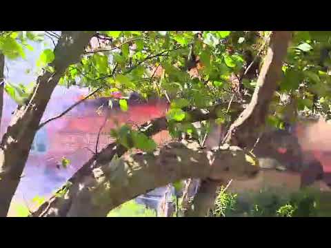 Incendiu comuna Drajna, sat Ogretin - 28.06.2024