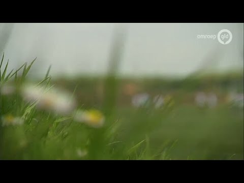 GLD Nieuws 6 mei 2013 - Nieuws