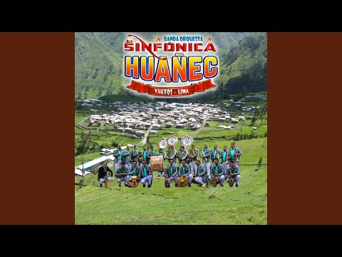 El Kiwi Loco (Cumbia)