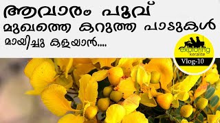 preview picture of video 'The Beauty Secrets of Aavaram Poo | Malayalam - YouTube Vlog By Kiran & Nisa - Fix, Pack & Go...'
