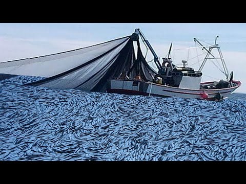 Amazing Net Fishing Under Ice Catch Hundreds Tons of Big Fish || Catching Fish Big on The Sea