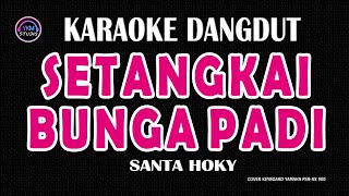Download lagu SETANGKAI BUNGA PADI - Karaoke Dangdut Original Nada Rendah (Versi Wanita) | SANTA HOKY mp3 Download lagu SETANGKAI BUNGA PADI - Karaoke Dangdut Original Nada Rendah (Versi Wanita) | SANTA HOKY mp3