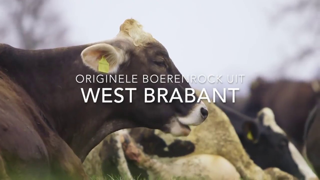 Koorn Pik & de Dørsvlegels