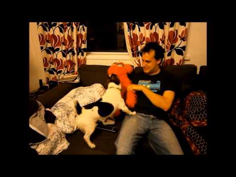 Conan's Christmas Message 2013