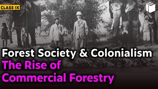 Rise of Commercial Forestry | Forest Society & Colonialism | Chapter 4 - History | Class 9 | PuStack