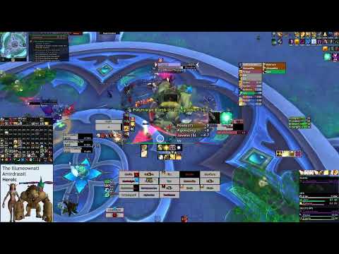 Tier 31 Amirdrassil, the Dream's Hope - Council of Dreams - Heroic