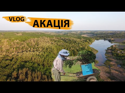 Мед липа 0,5л (700г) Маслянистой консистенции! - фото 2 - id-p1476753129