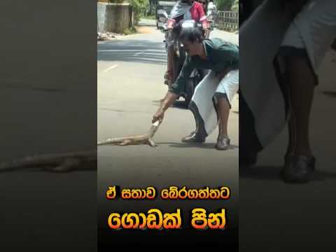 ගොඩක්ම පින් 🙏#youtubeshorts #cute #shortsviral