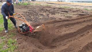 골타는관리기.abc 관리기전용골타기.고랑제초기.abc furrow tiller.텃밭관리기작업