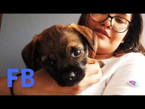 Waiting For Doggo - 2019.05.21 | FB