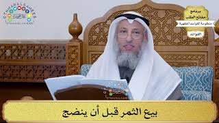 37 - بيع الثمر قبل أن ينضج - عثمان الخميس