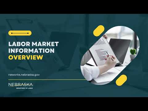 Labor Market Regulation: Navigating the Rules of Work | Vibepedia