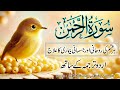 Surah Rahman Healing Relaxing Quran Recitation Urdu Translation Abdul Basit