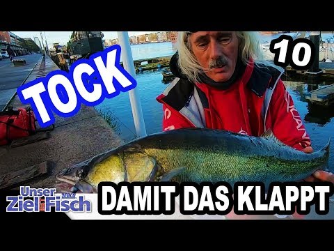 STAR HOUR on ZANDER - Jigging with Jörg Ovens - Our goal is fish - Part 10