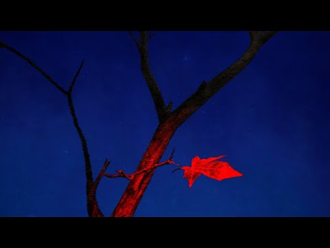 WREN EVANS - THU ĐỢI | OFFICIAL LYRICS VIDEO (ft. itsnk)