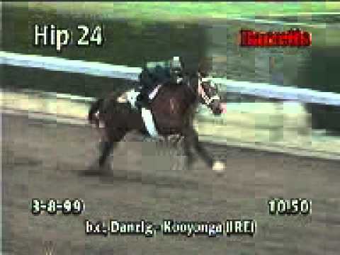 Philomatheia - Barretts March Sale Training Preview2