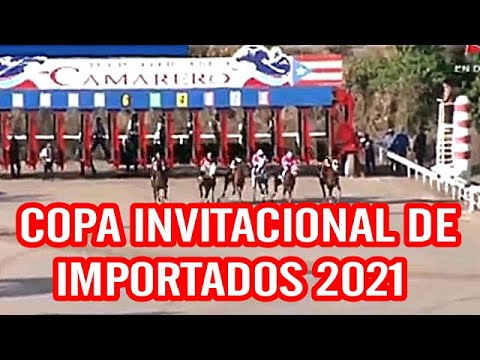 COPA INVITACIONAL DE IMPORTADOS 2021. CAMARERO PUERTO RICO.