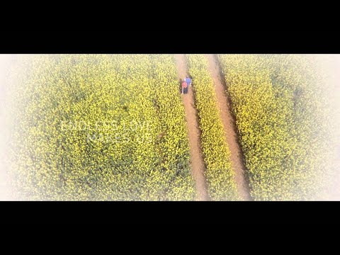 MODRIJANI - I WANNA FIND YOU (OFFICIAL VIDEO)