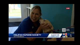 Clear the Shelter Event 2025 @ Halifax Humane Society
