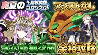 【完全脳死】アシスト無し！ただずらすだけで余裕のクリア！？木の修練空間で大暴れしてみたｗｗ【パズドラ】【実況】