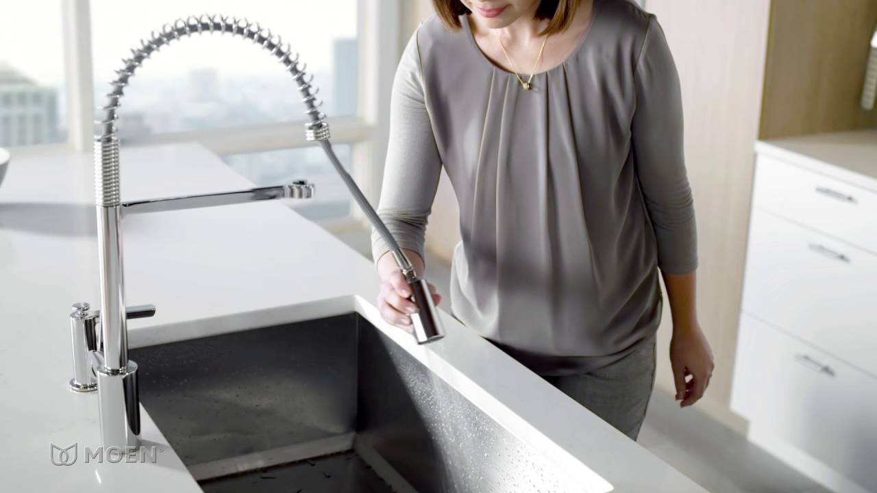 Align Pre-Rinse Spring Kitchen Faucet