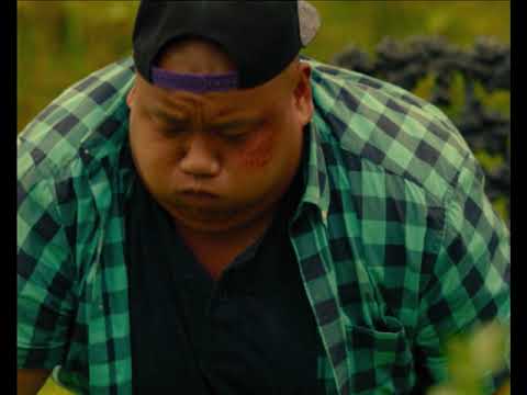 The True Don Quixote | It Cures Any Ailment