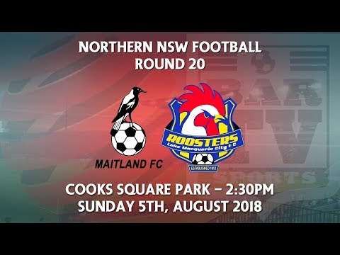 2018 NNSWF NPL Round 20 - Maitland Magpies FC v Lake Macquarie City FC