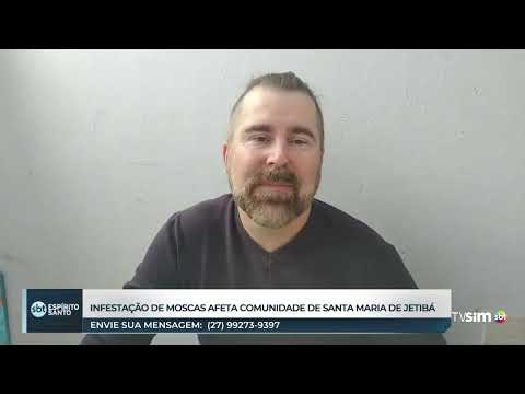 Infestação de moscas afeta comunidade de Santa Maria de Jetibá.
