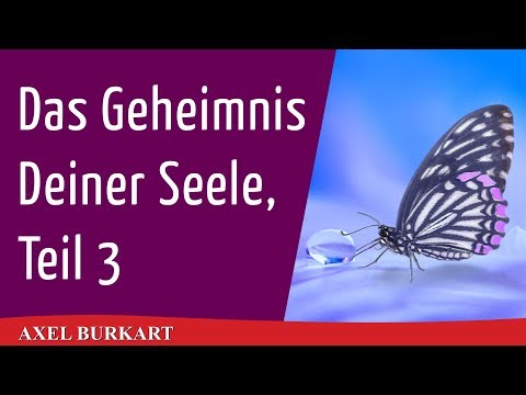 Das Geheimnis Deiner Seele, Teil 3, Spiritualität Esoterik Karma Reinkarnation Wiedergeburt