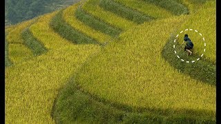 9 tips for amazing photos with Bob Holmes