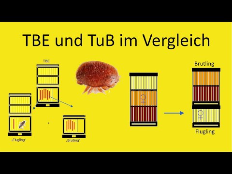 Sind totale Brutentnahme und Teilen und Behandeln wirklich so verschieden?
