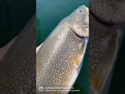 We’re Baaaaack!! | Lac La Martre, NorthWest Territories | Fishing Guide