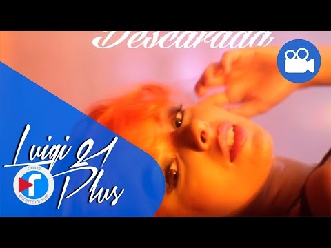 Luigi 21 Plus Ft. Pusho - Mala y Descarada [Lyric