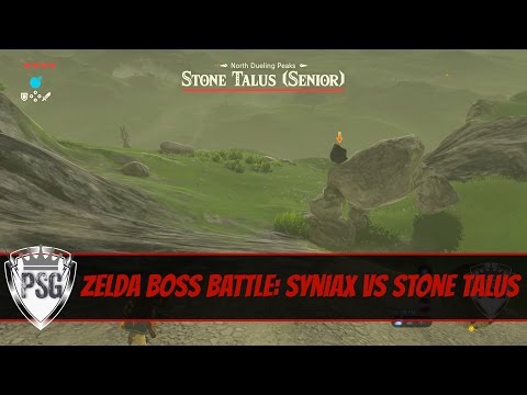 Zelda Boss Battles? Syniax vs Stone Talus (Senior)