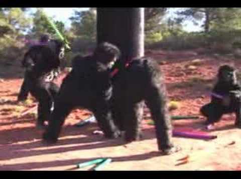 download lagu mp3 mp4 2006 Odyssey On Earth, download mp3 2006 Odyssey On Earth free download mp3, download mp3 2006 Odyssey On Earth