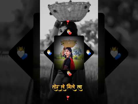 Hiresh Sinha Ke suparhit Song 😘😘 Tukni Dhar Ke Aabe Gori ❣️❣️ #cgshorts #cgfame #viral #cglove