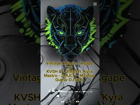 Vintage Culture - Agape VS KVSH & LOthief ft Kyra Mastro - 2MUCH (Mashup Gunsv DJ BR) #dj #music #br