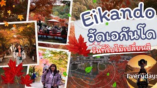 วัดเอกันโด ความงามที่ควรคู่ โค-ตร สวย ส๊วย ส่วย สวย จริงจัง [Eikando] [4K]