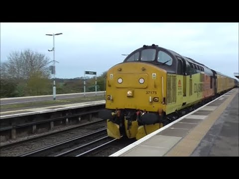 37116 & 175 (1Q52 Eastleigh-Eastleigh) @ Various Locations - 21/11/17