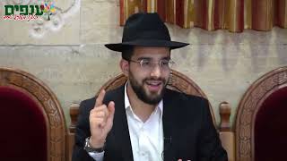 הרב נריה ברבי | סיכום הלכות תשעה באב 2025 (ארגון ענפים) - התמונה מוצגת ישירות מתוך אתר האינטרנט יוטיוב. זכויות היוצרים בתמונה שייכות ליוצרה. קישור קרדיט למקור התוכן נמצא בתוך דף הסרטון הרב נריה ברבי | סיכום הלכות תשעה באב 2025 (ארגון ענפים) - התמונה מוצגת ישירות מתוך אתר האינטרנט יוטיוב. זכויות היוצרים בתמונה שייכות ליוצרה. קישור קרדיט למקור התוכן נמצא בתוך דף הסרטון