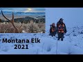 Mike's Montana Bull Elk Hunt 2021