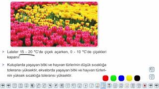 Eğitim Vadisi 10.Sınıf Biyoloji 14.Föy Ekosistemin Canlı ve Cansız Bileşenleri Konu Anlatım Videoları