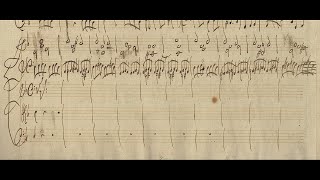 Concerto Del Vivaldi facto per Monsieur Pisendel / RV 237 in D minor (Autograph score)