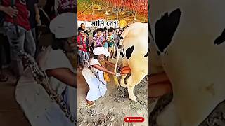 Download lagu 10 Mix Dj Bangla Gaan Dj Trance Music বাংলা নতুন Dj Tiktok Dance Remix Song Dj Akter King #dj #dj mp3