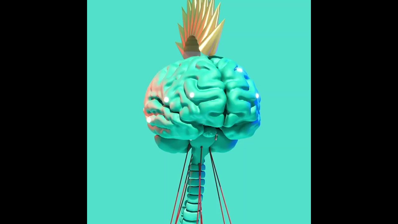 NFT Collection 2022 - Brainomatica