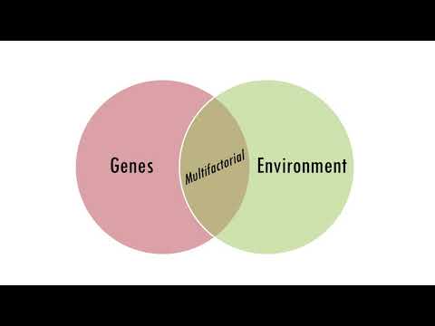 Multifactorial Inheritance